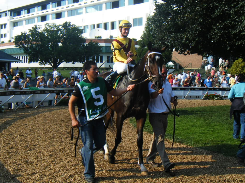 Rachel Alexandra Rachel Alexandra