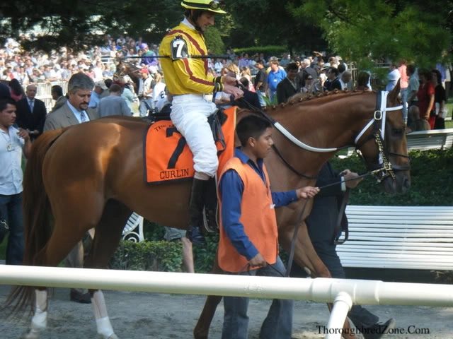 Curlin Curlin